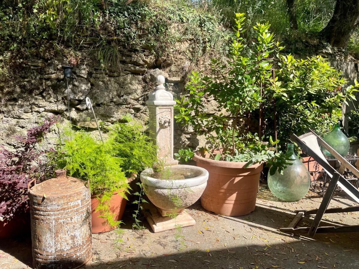 Ca' dei Merli - charming Italian village house Casanova Lerrone Esterno foto